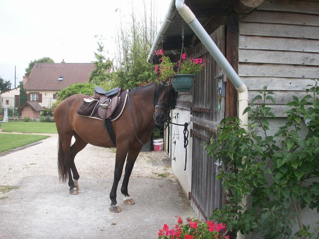 Le Clos Des Perraudieres Cour-Cheverny Eksteriør bilde