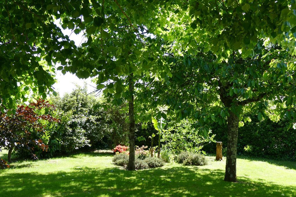 Le Clos Des Perraudieres Cour-Cheverny Eksteriør bilde
