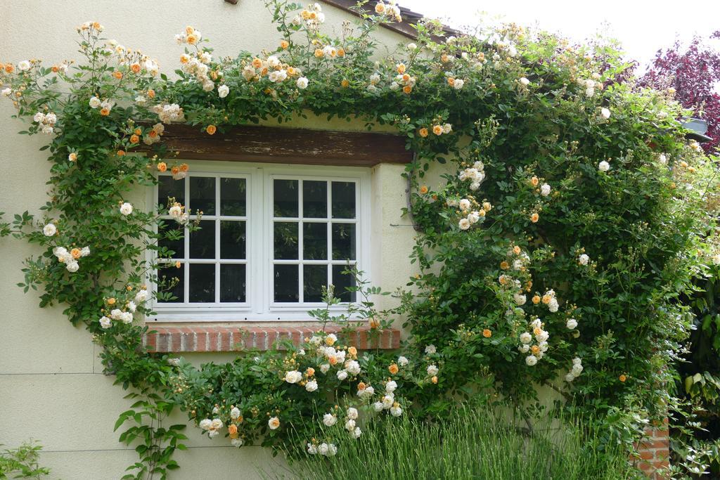Le Clos Des Perraudieres Cour-Cheverny Eksteriør bilde